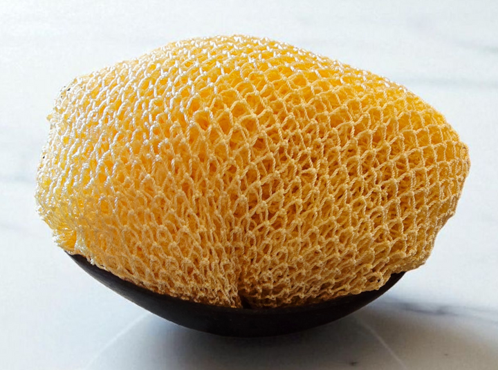 Sapow-Exfoliating Sponge